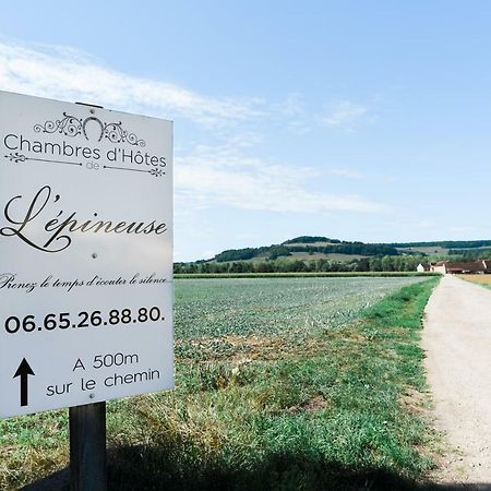 Venarey-les-Laumes Chambre D'Hote L'Epineuse מראה חיצוני תמונה